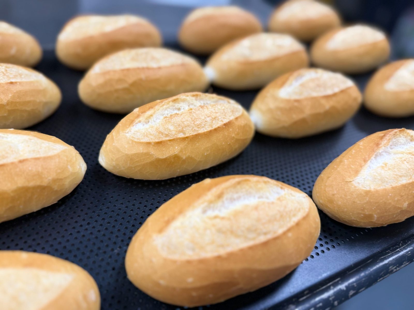 Banh Mi Baked (Small) — Small